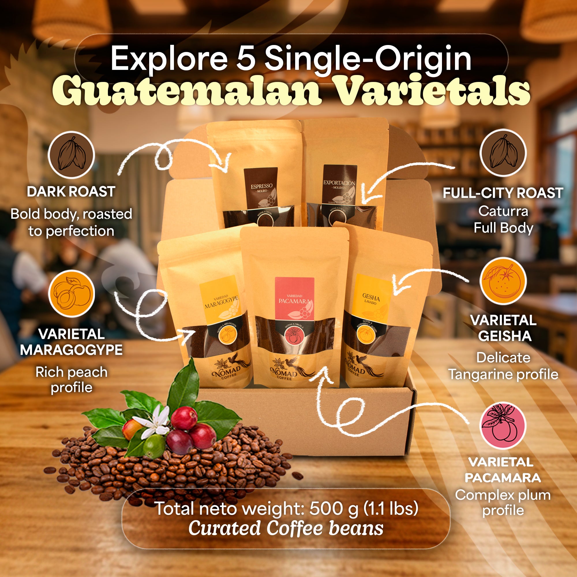 Nomad Coffee Guatemala - Premium Single Origin Whole Bean Coffee (12 oz)