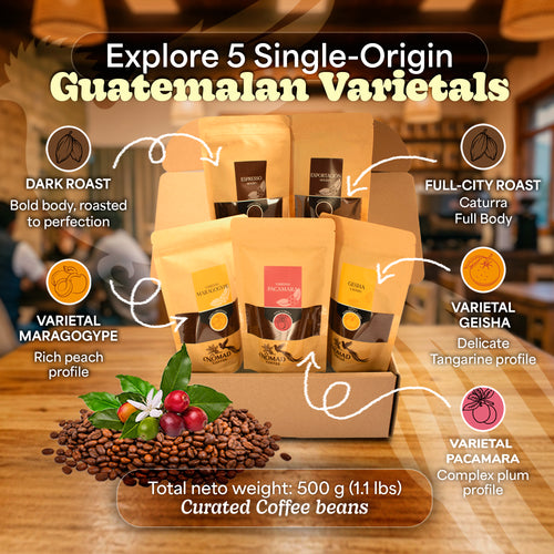 Nomad Coffee Guatemala - Premium Single Origin Whole Bean Coffee (12 oz)