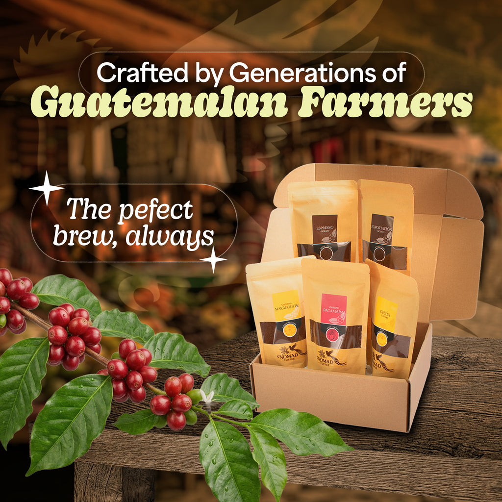 Nomad Coffee Guatemala - Premium Single Origin Whole Bean Coffee (12 oz)