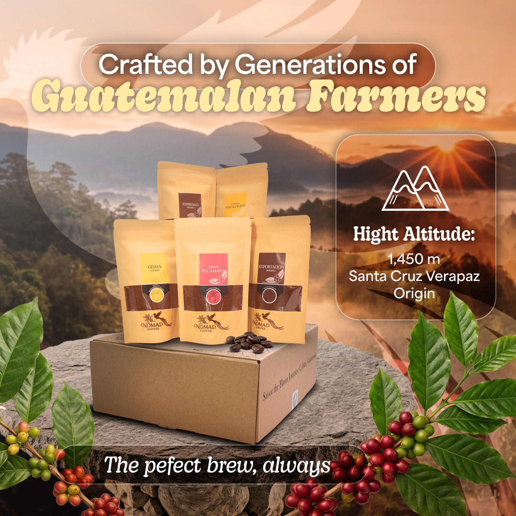 Nomad Coffee Guatemala - Premium Single Origin Whole Bean Coffee (12 oz)