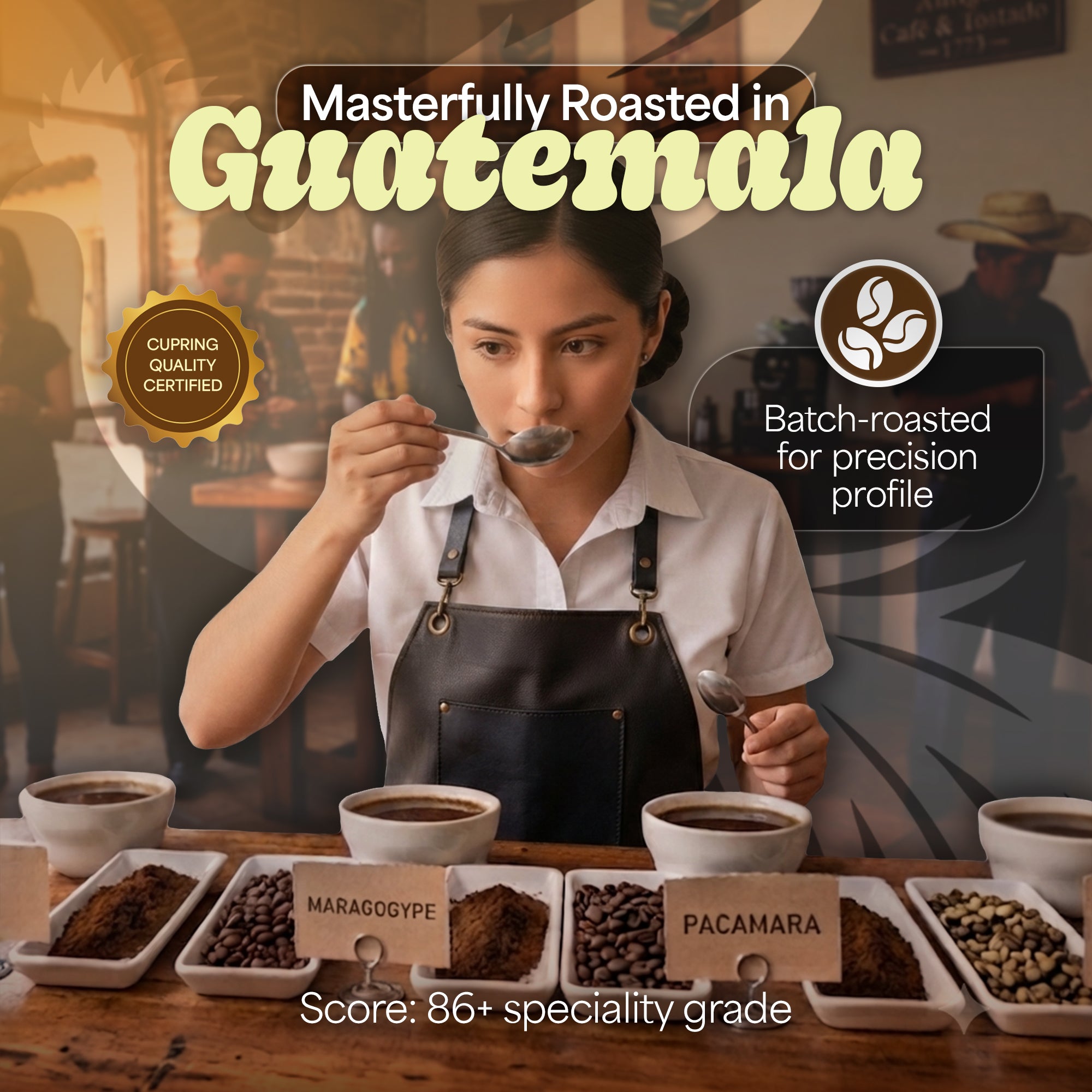 Nomad Coffee Guatemala - Premium Single Origin Whole Bean Coffee (12 oz)